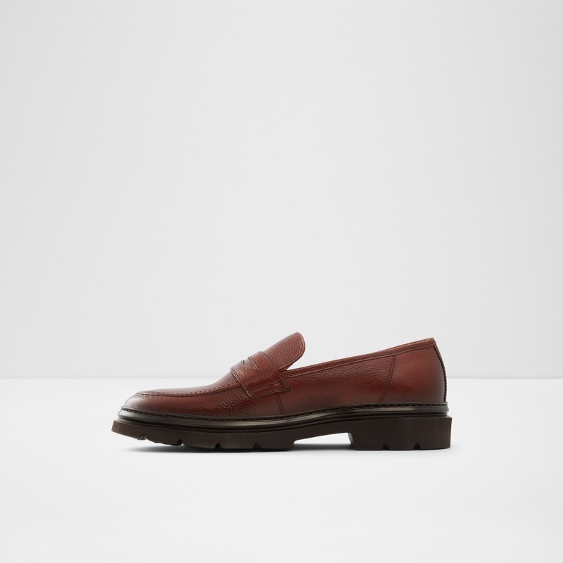 Loafers Aldo Droarien Homme Marron | PWCMYJ-614