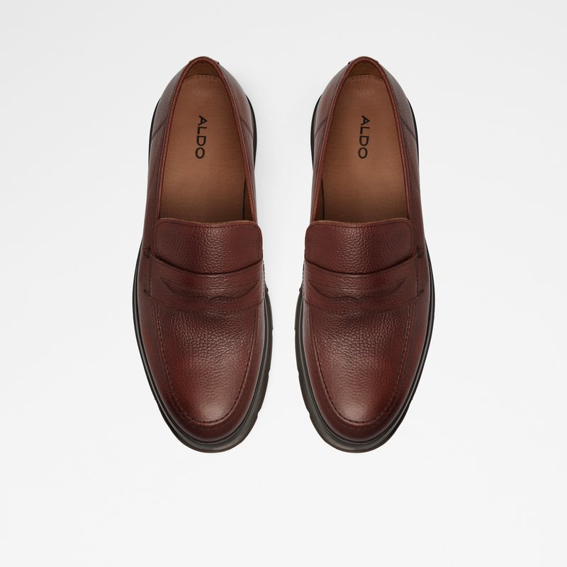Loafers Aldo Droarien Homme Marron | PWCMYJ-614