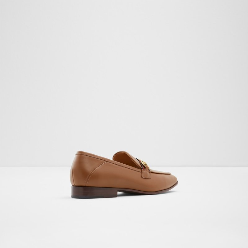 Loafers Aldo Heliothis Homme Marron | UMFPIB-615