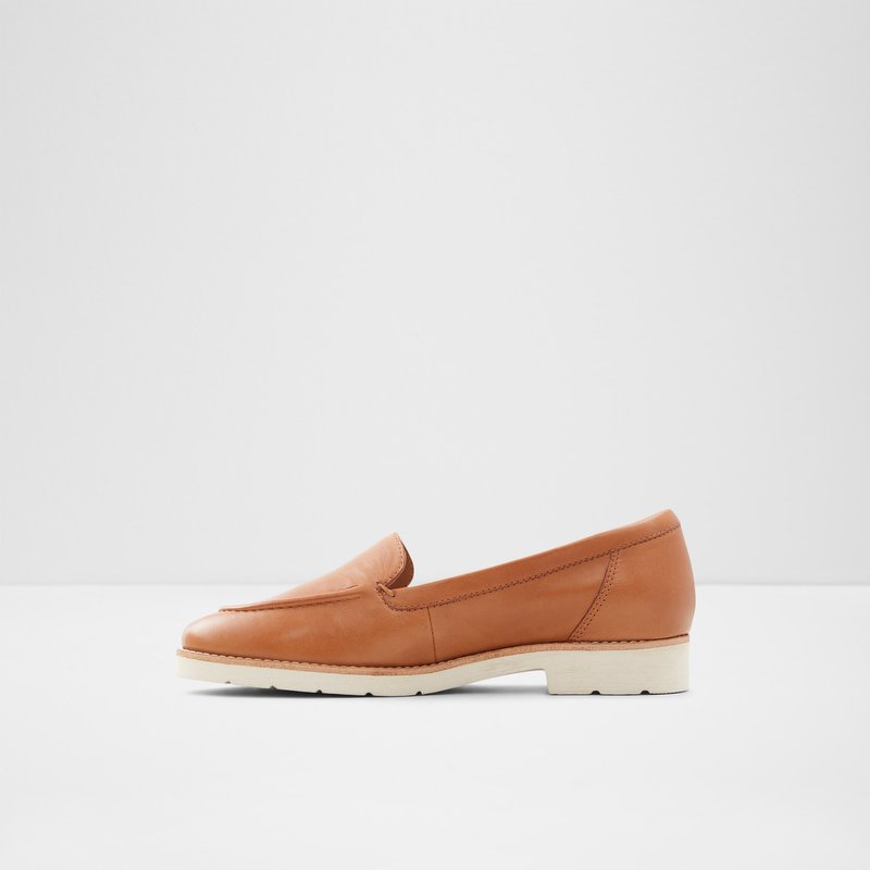 Loafers Aldo Rheildanflex Femme Marron | PXMSVF-653