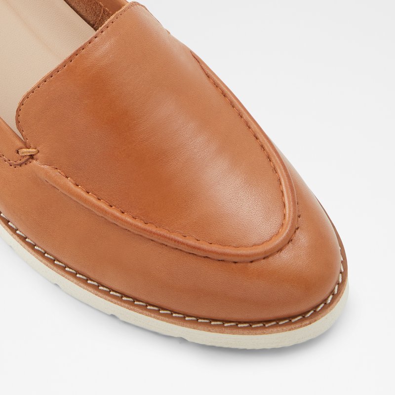 Loafers Aldo Rheildanflex Femme Marron | PXMSVF-653