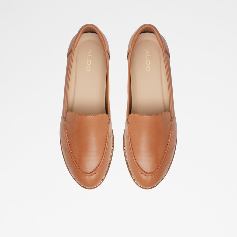 Loafers Aldo Rheildanflex Femme Marron | PXMSVF-653