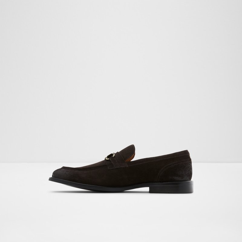 Loafers Aldo Schergerflex Homme Marron | ULFVYT-948