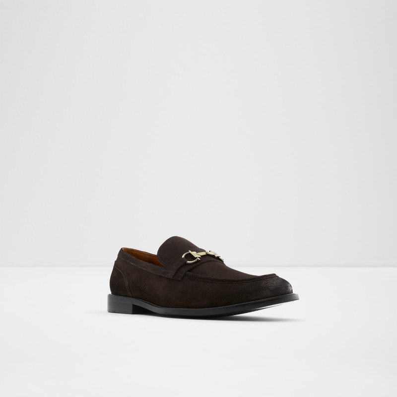 Loafers Aldo Schergerflex Homme Marron | ULFVYT-948