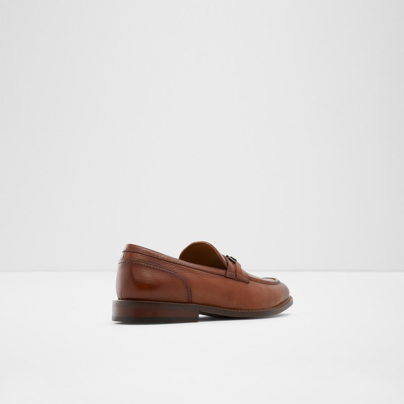 Loafers Aldo Schergerflex Homme Marron | VTQEWN-512