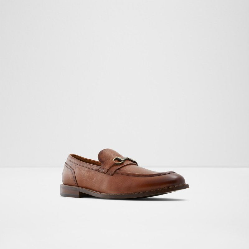 Loafers Aldo Schergerflex Homme Marron | VTQEWN-512