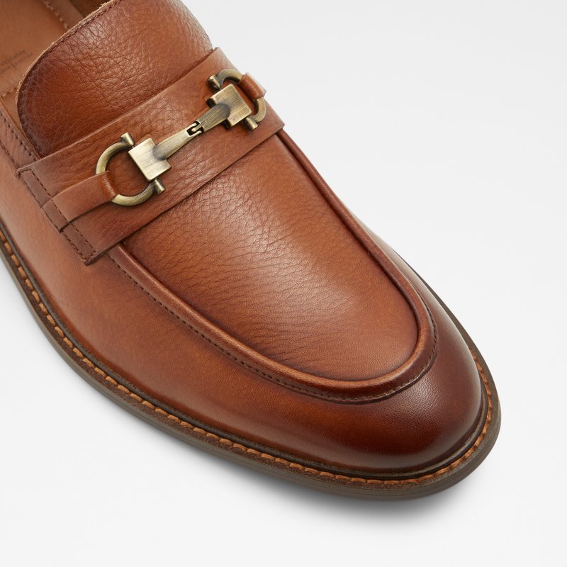 Loafers Aldo Schergerflex Homme Marron | VTQEWN-512
