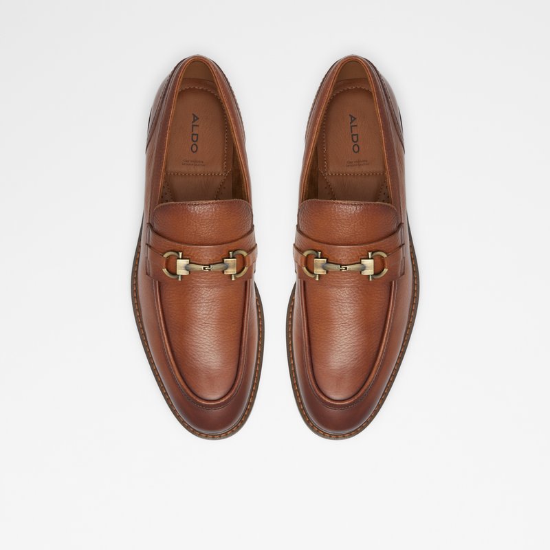 Loafers Aldo Schergerflex Homme Marron | VTQEWN-512