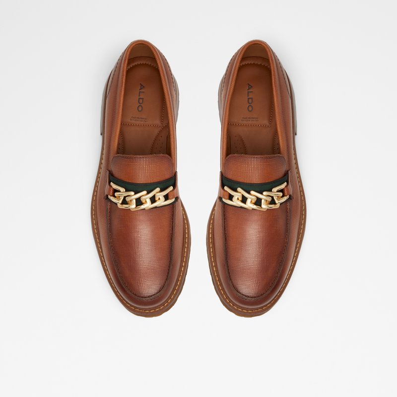 Loafers Aldo Weaver Homme Marron | WLZYKX-476