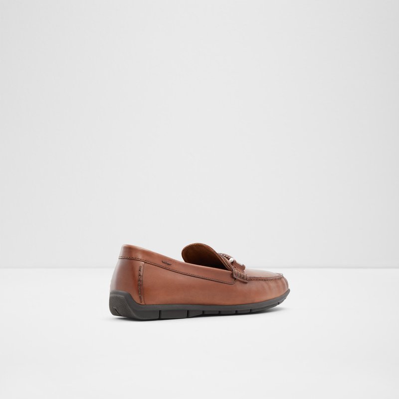 Loafers Aldo Zirnuflex Homme Marron | LGJWMS-246