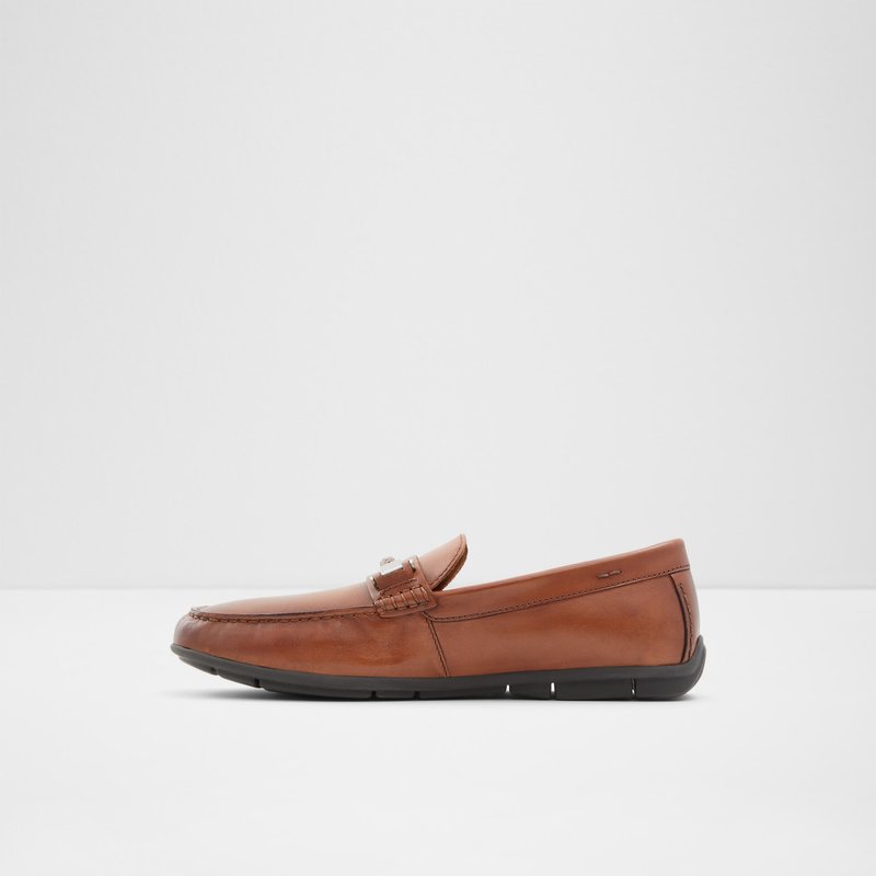 Loafers Aldo Zirnuflex Homme Marron | LGJWMS-246