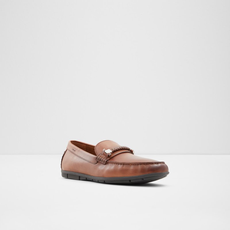 Loafers Aldo Zirnuflex Homme Marron | LGJWMS-246