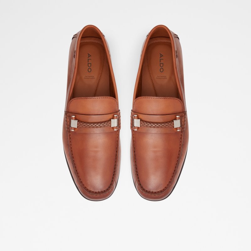 Loafers Aldo Zirnuflex Homme Marron | LGJWMS-246