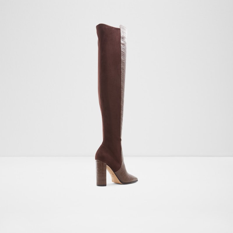 Over The Knee-Boots Aldo Choan Femme Marron | EILWMS-561
