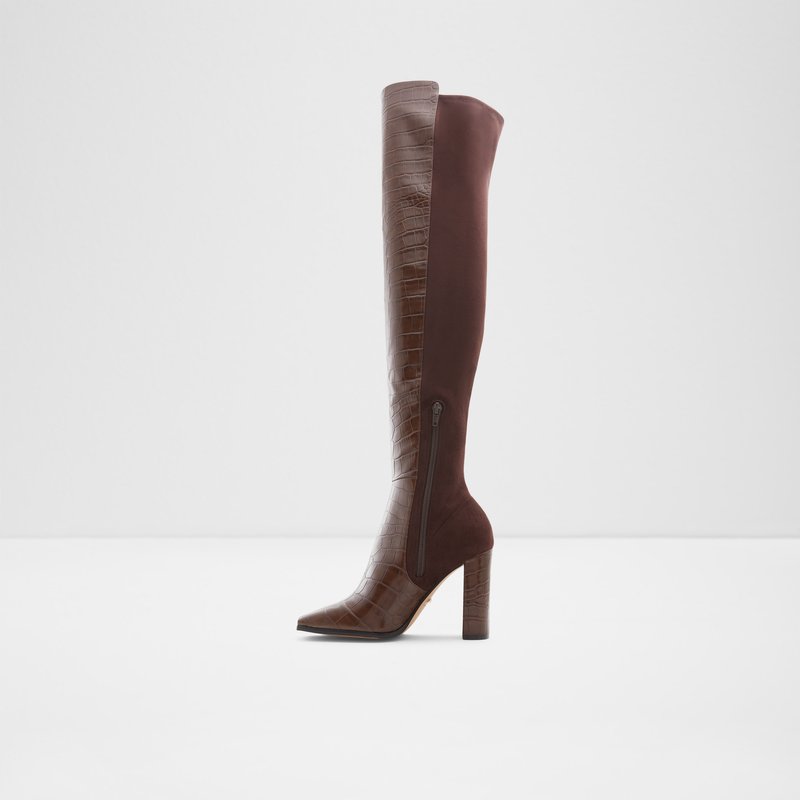Over The Knee-Boots Aldo Choan Femme Marron | EILWMS-561