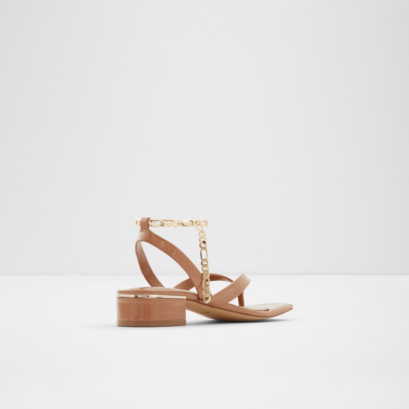 Sandales Casual Aldo Agralella Femme Beige Foncé | YTLUIQ-162