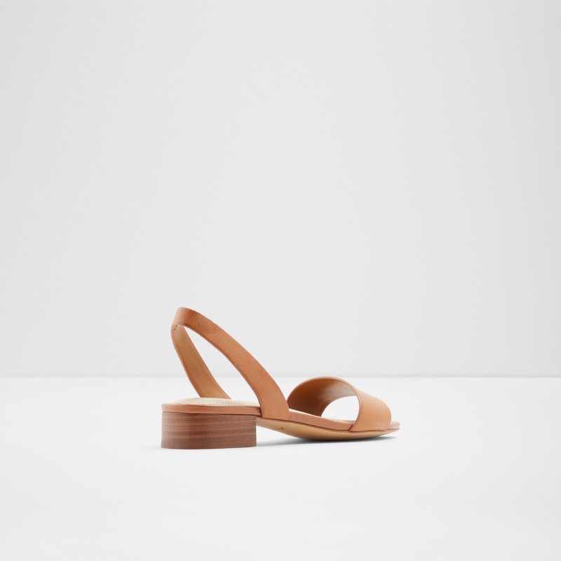 Sandales Plates Aldo Doredda Femme Marron | YUOXLQ-159