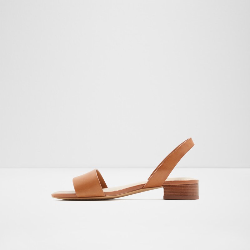 Sandales Plates Aldo Doredda Femme Marron | YUOXLQ-159