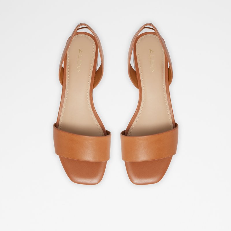Sandales Plates Aldo Doredda Femme Marron | YUOXLQ-159