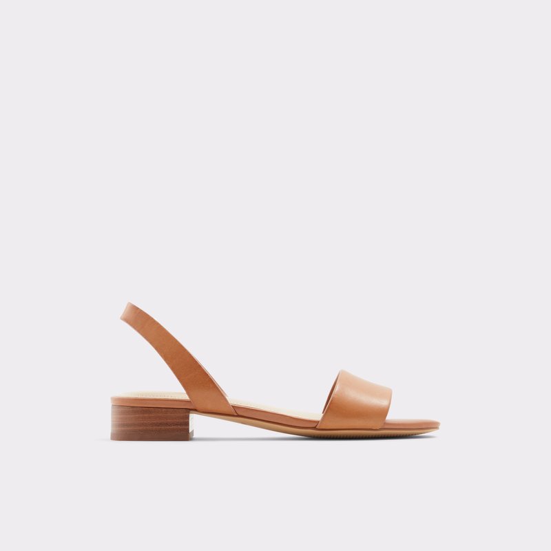 Sandales Plates Aldo Doredda Femme Marron | YUOXLQ-159