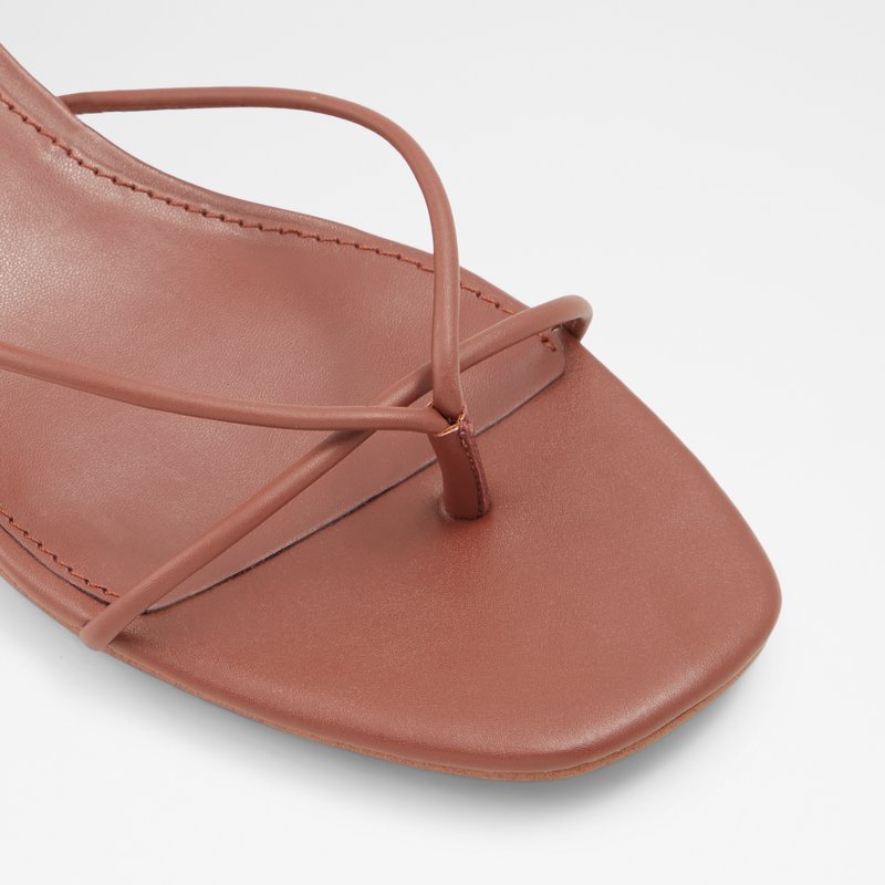 Sandales Plates Aldo Giannaflex Femme Marron | XROSAZ-739